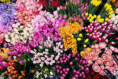 SE开启Steam冬季促销 多款游戏新史底